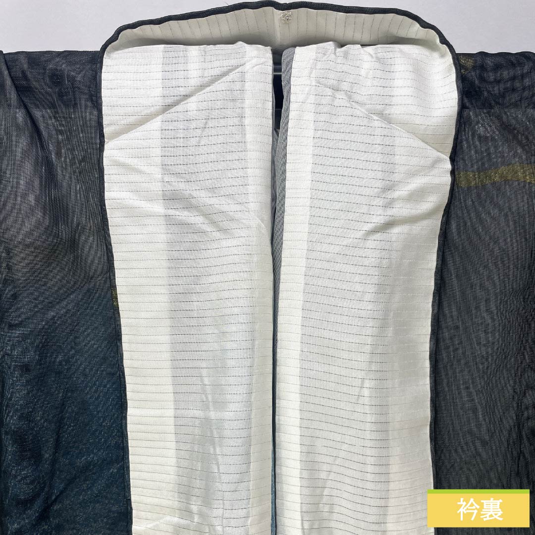 夏物 正絹 訪問着 身丈154.5cm 裄丈65cm 京友禅 抽象柄 紗袷 Sランク グラデーション系 1132001972299