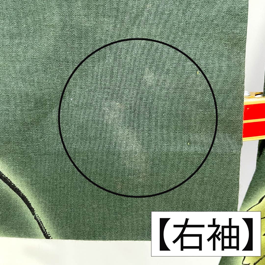 浴衣 木綿 Aランク 身丈165.5cm 裄丈67.5cm 夏虫色（なつむしいろ） 蔦ぶどう 単衣 緑系 1118007203519