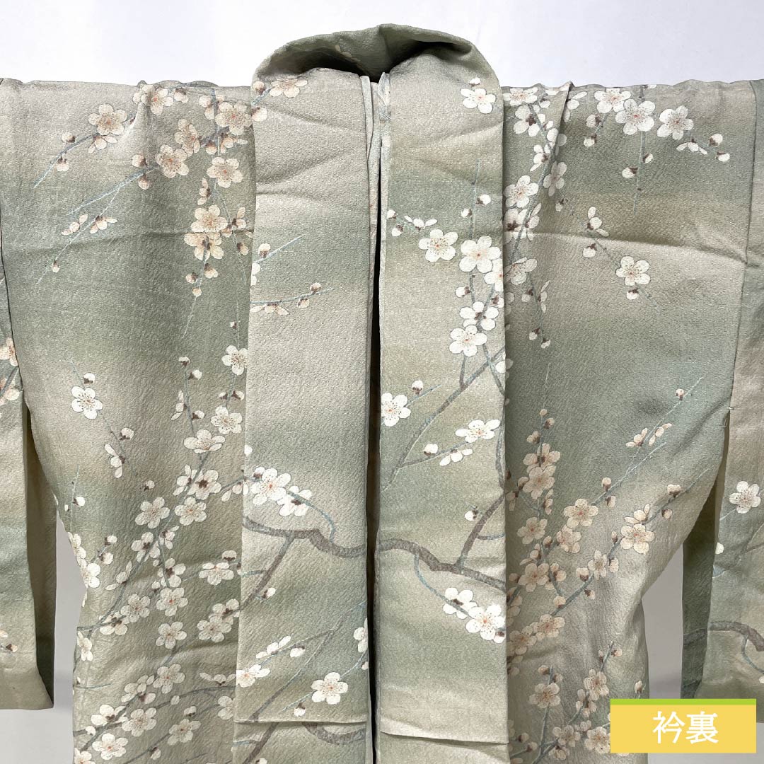 Komon Polyester S Rank Length 161cm (63.4in) Sleeve-to-sleeve 66cm (26.0in) Unlined Enshū-nezumi (Muted Gray) Stenciled Dyeing Gradated Dyeing Cherry Blossom Washable Kimono Beige-tone 1115007802425