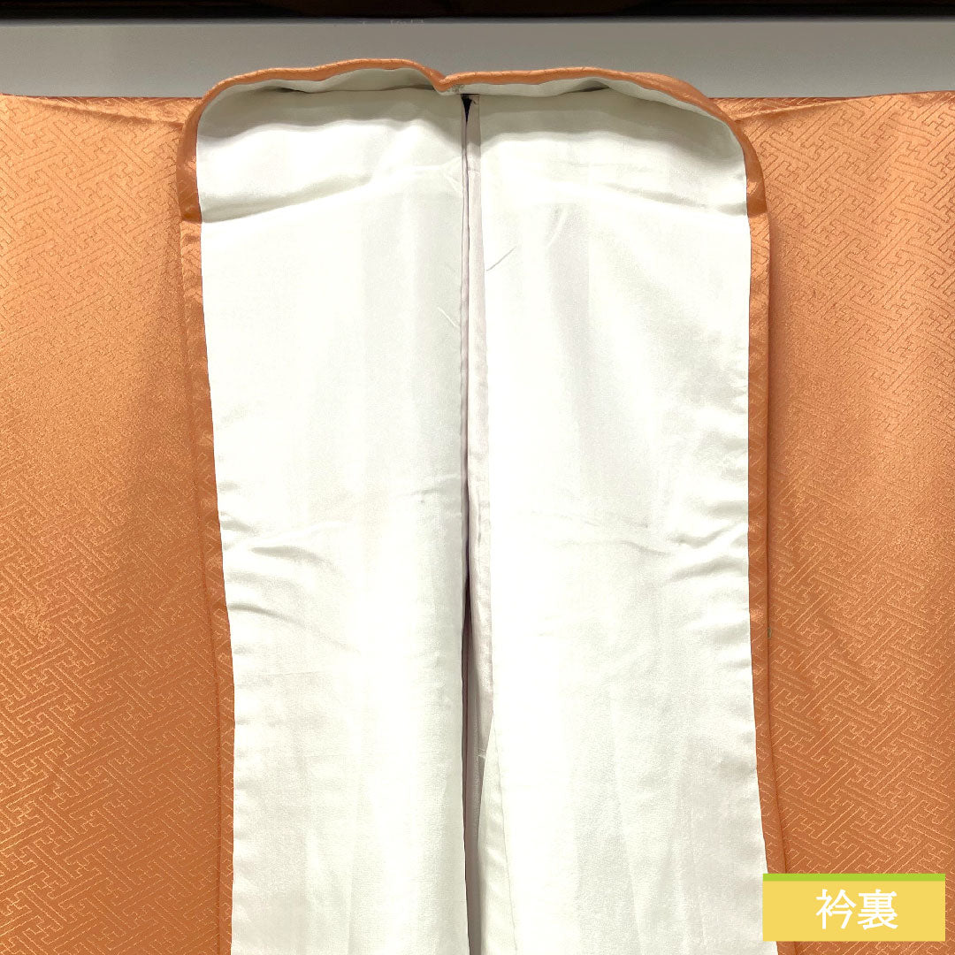 Homongi, pure silk, lined, length 165.5cm, sleeve length 66.5cm, vermilion, Kyoto Yuzen, auspicious motif, A rank, orange, 1112004623526
