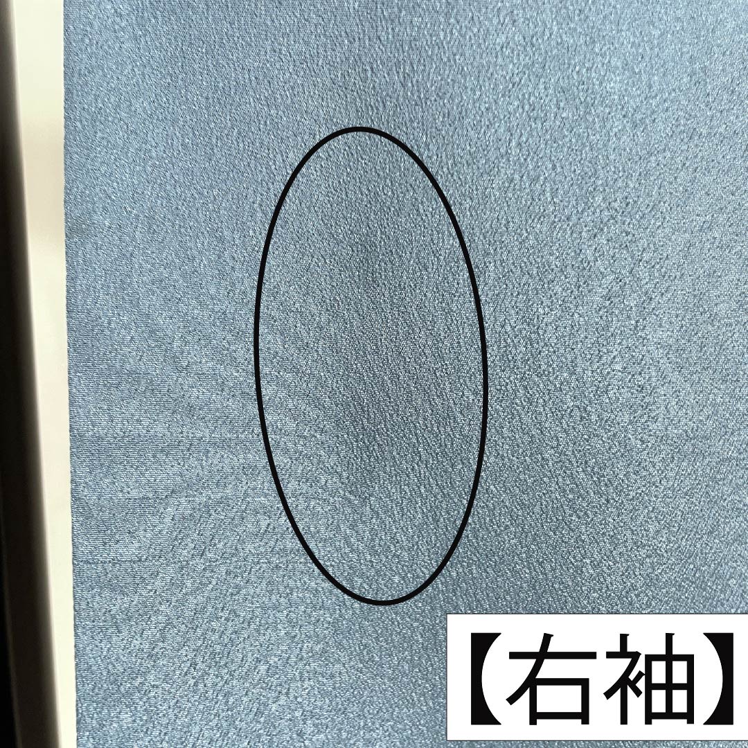 メンズ襦袢 ポリエステル Sランク 身丈143cm 裄丈71cm 湊鼠色（みなとねずいろ） 龍 単衣 青系 1140000852417