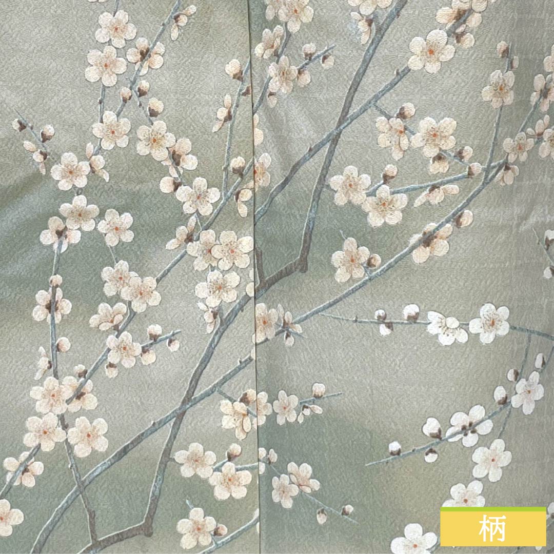 Komon Polyester S Rank Length 161cm (63.4in) Sleeve-to-sleeve 66cm (26.0in) Unlined Enshū-nezumi (Muted Gray) Stenciled Dyeing Gradated Dyeing Cherry Blossom Washable Kimono Beige-tone 1115007802425