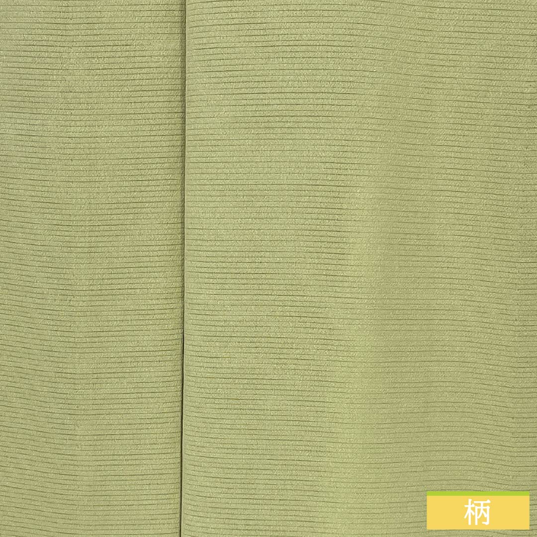 夏物 正絹 色無地 Aランク 身丈166cm 裄丈67cm 裏柳色（うらやなぎいろ） 素無地 居敷当て付き 絽 緑系 1132005683519
