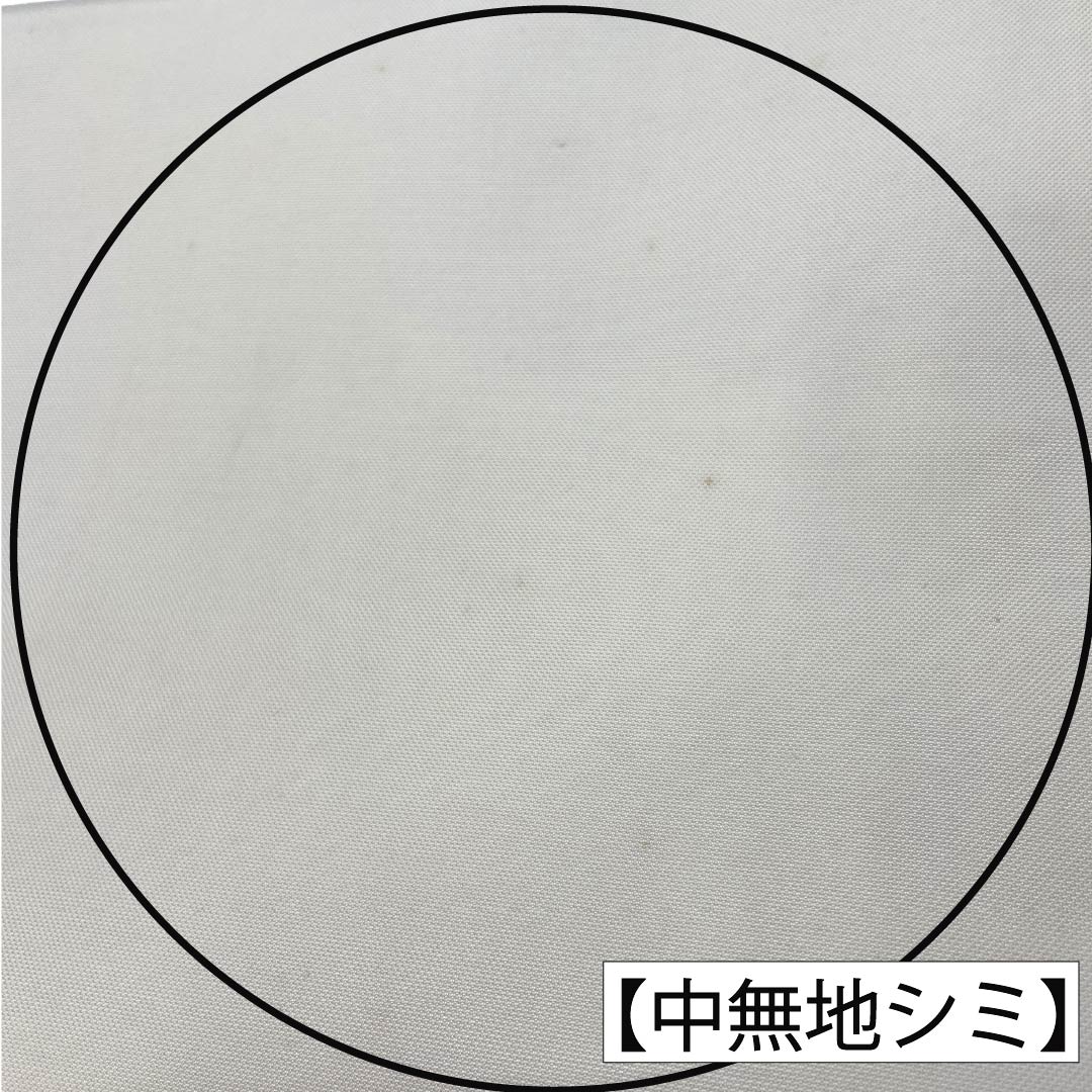 袋帯 正絹 Aランク 銀色（ぎんいろ） 引箔 金彩 辻ヶ花  帯丈430cm ポイント柄 セミフォーマル 銀系 1123018613322