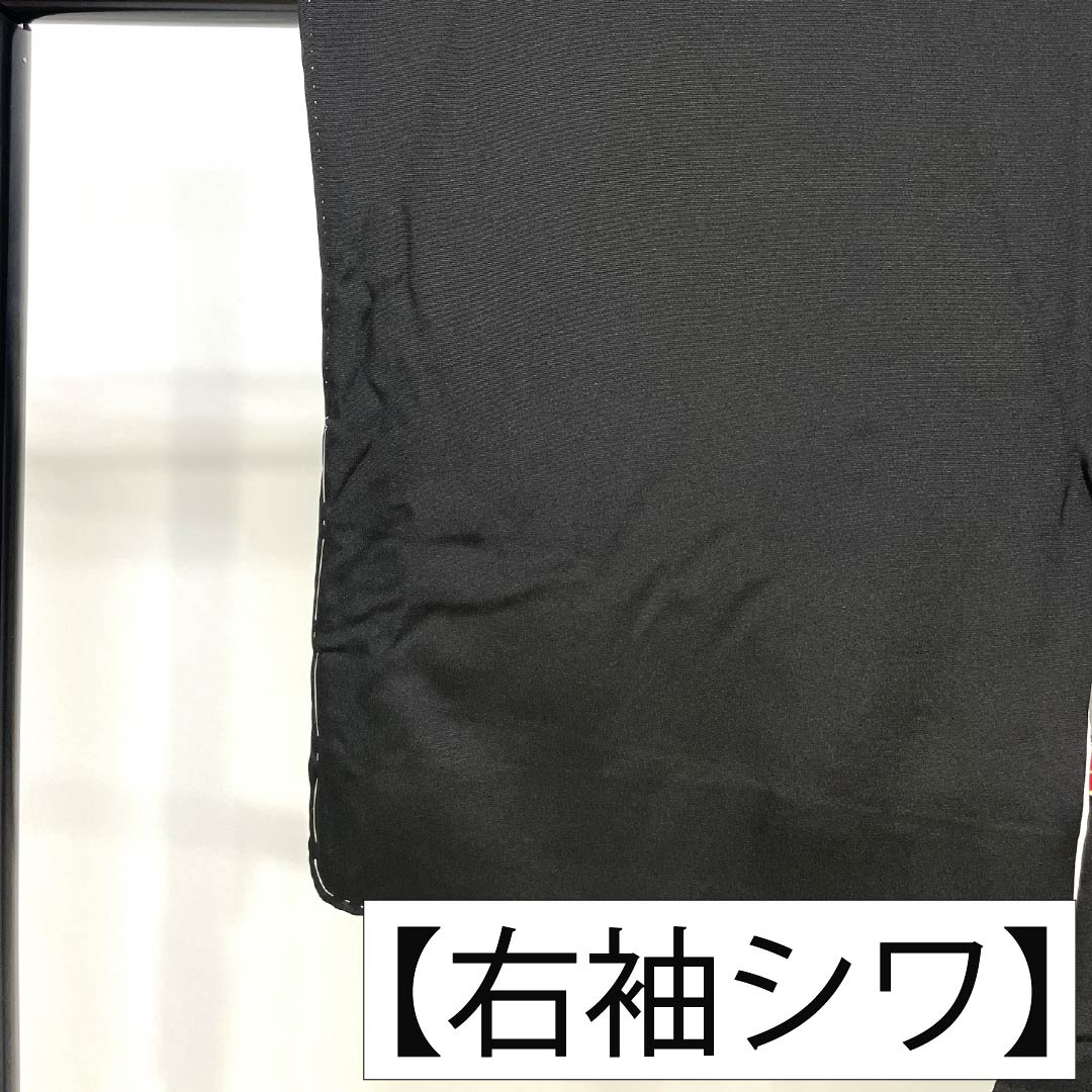黒留袖 正絹 Sランク 身丈155cm 裄丈64cm 袷 京友禅 御所車 吉祥文様 五つ紋 丸に九枚笹 比翼付き 五つ紋 黒系 1111002322310