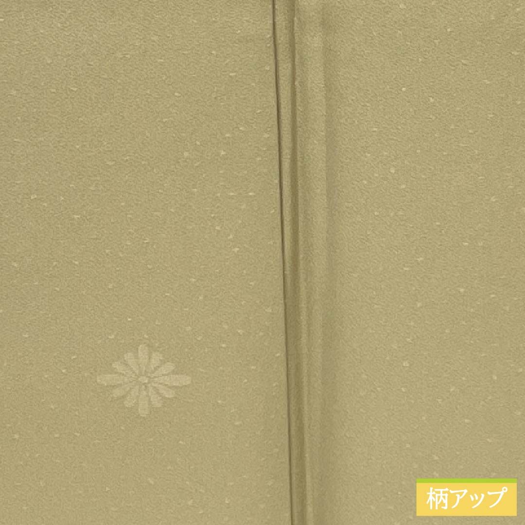 色無地 正絹 Aランク 身丈162cm 裄丈64cm 枯野色（かれのいろ） 綸子 菊 袷 ベージュ系 1114002253425