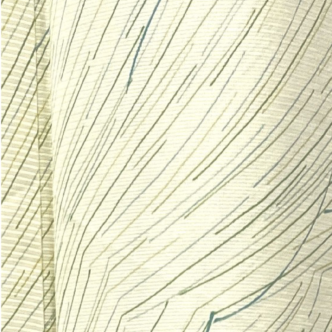 夏物 正絹 小紋 身丈158.5cm 裄丈62.5cm 乳白色（にゅうはくしょく） 抽象模様   絽 Aランク クリーム系 1132000753315