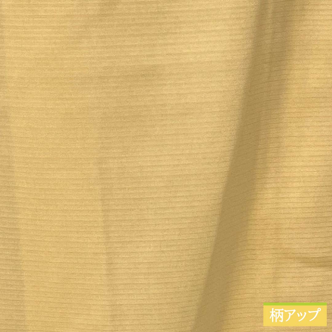 夏物 ポリエステル 色無地 Sランク 身丈171.5cm 裄丈70.5cm 薄柑子色（うすこうじいろ） 一つ紋 五三桐 絽ちりめん 絽 橙系 1132003062626