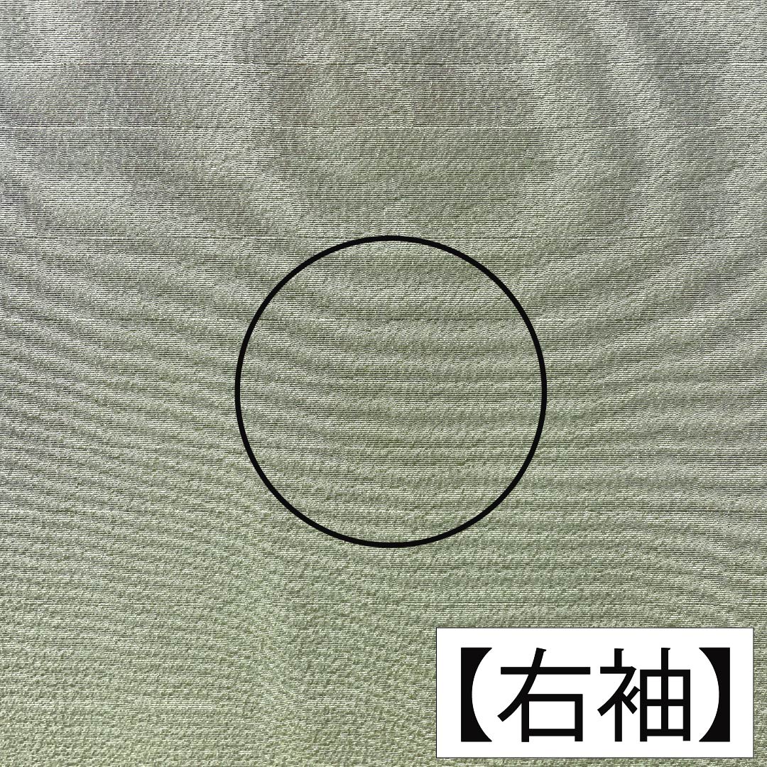 色無地 正絹 Aランク 身丈166.5cm 裄丈66cm 浅藍色（あさきあいいろ） ちりめん地 素無地 一つ紋 袷 緑系 1114003093519