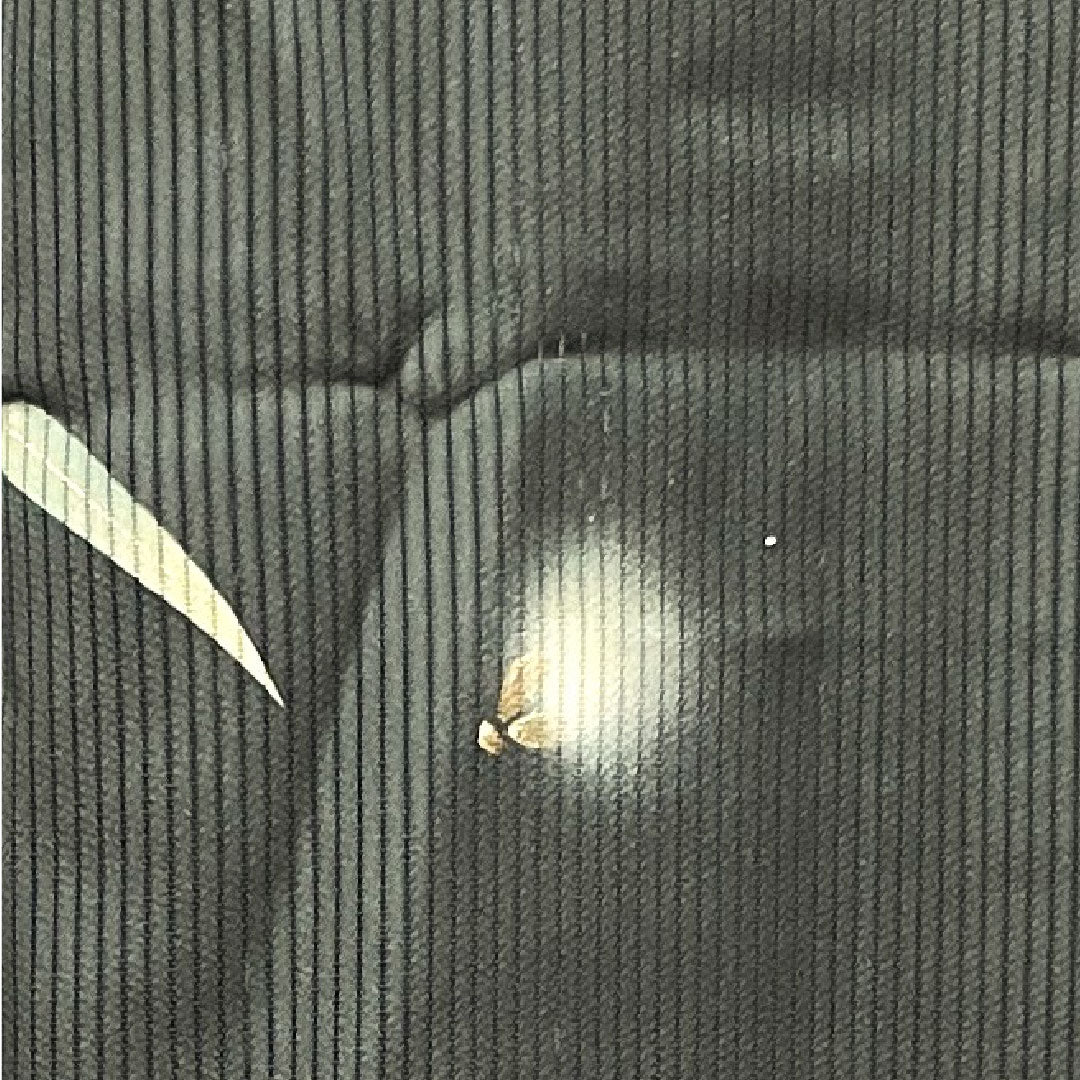 Summer pure silk formal kimono, length 156.5cm, sleeve length 63cm, vertical silk, hotaru silk, S rank, black, 1132001102310