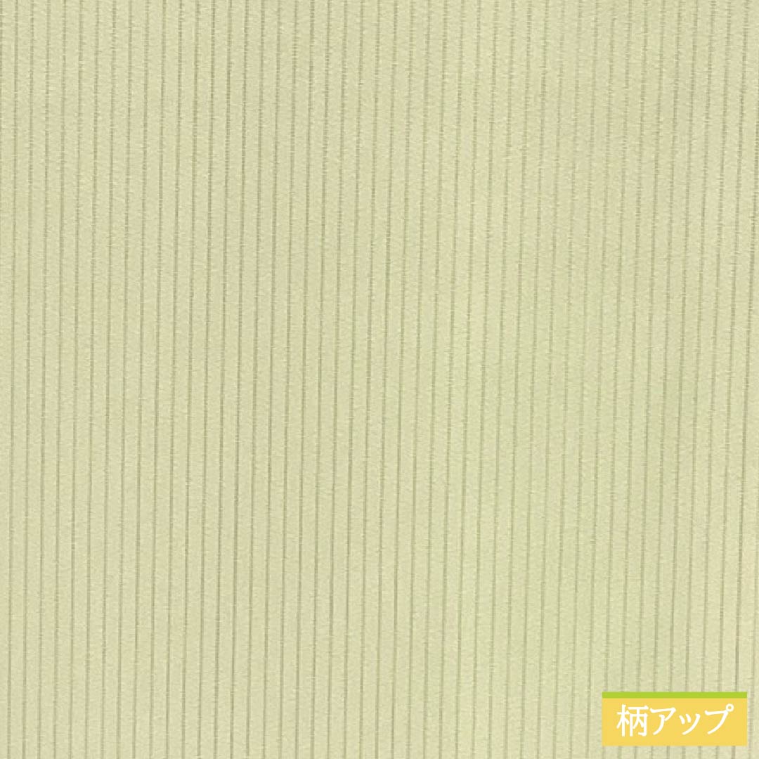夏物 正絹 色無地 Sランク 身丈162cm 裄丈64.5cm 淡黄蘗色（うすきはだいろ） 竪絽 素無地 一つ紋 絽 黄系 1132003322423