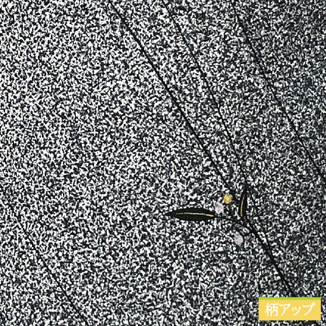 小紋 正絹 身丈157.5cm 裄丈63.5cm 袷 型染 線 小花 Bランク モノトーン 1115005434327