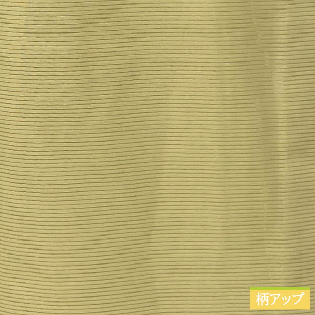 夏物 ポリエステル 色無地 Sランク 身丈160cm 裄丈63cm 梨子色（なしいろ） うそつき襦袢 洗える着物 絽 黄系 1132003102423