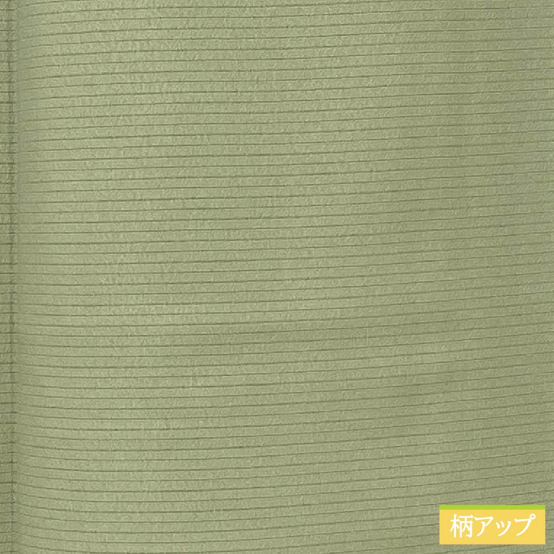 夏物 正絹 色無地 Sランク 身丈157cm 裄丈63.5cm 裏柳色（うらやなぎいろ） 素無地 絽 緑系 1132003982319