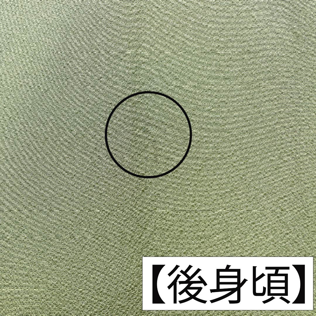 色無地 正絹 Aランク 身丈160cm 裄丈67.5cm 黄草色（きぐさいろ） ちりめん地 素無地 一つ紋 袷 緑系 1114003163419