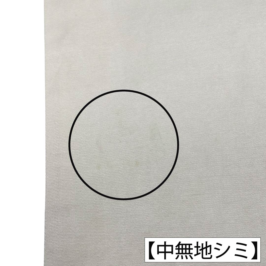 袋帯 正絹 Aランク 銀色（ぎんいろ） 唐織 佐賀錦 振袖用 雪輪 帯丈426cm 六通 フォーマル 銀系 1123018513322