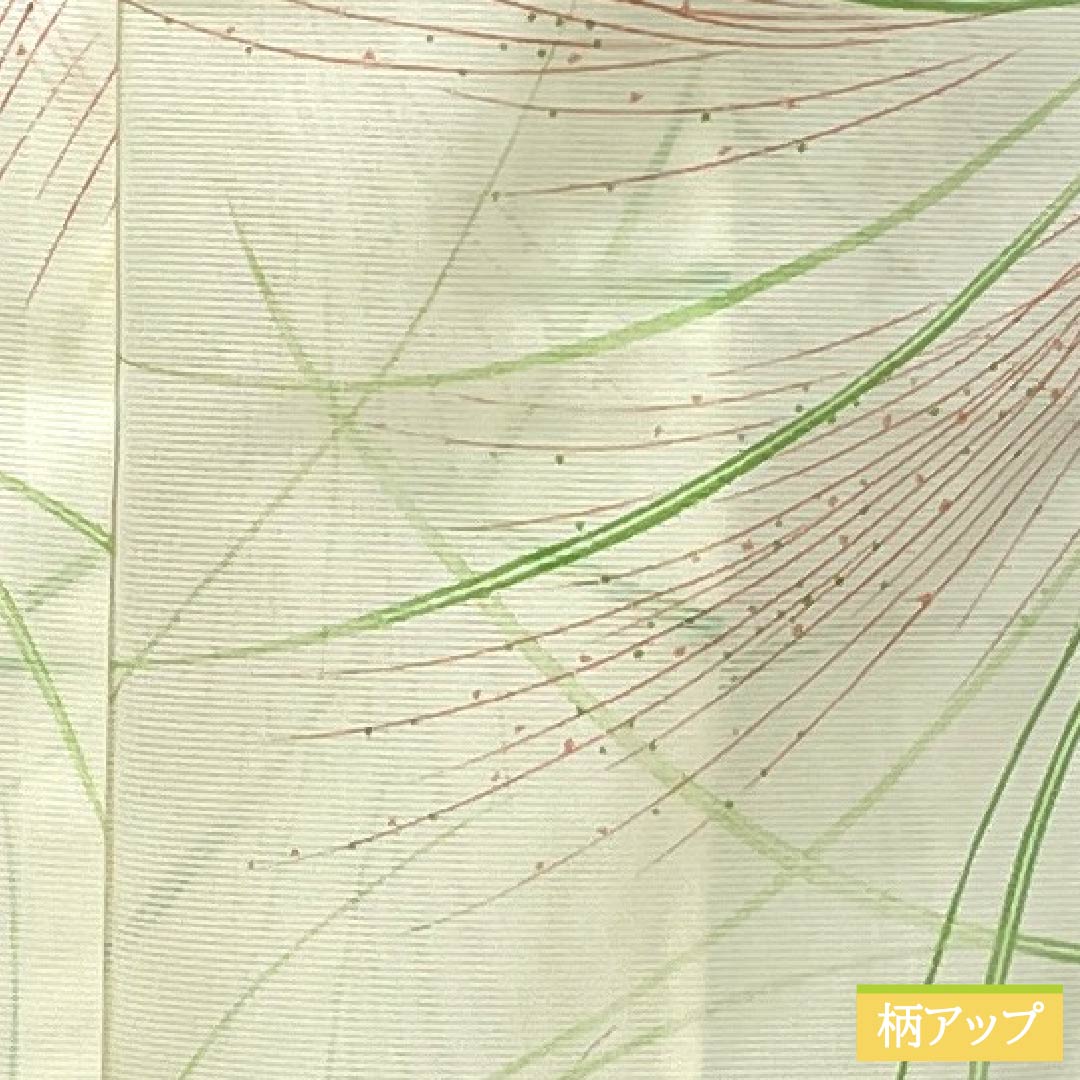 夏物 ポリエステル 小紋 身丈159cm 裄丈63.5cm 白百合色（しらゆりいろ） ススキ 洗える着物 絽 Sランク 黄系 1132002582323