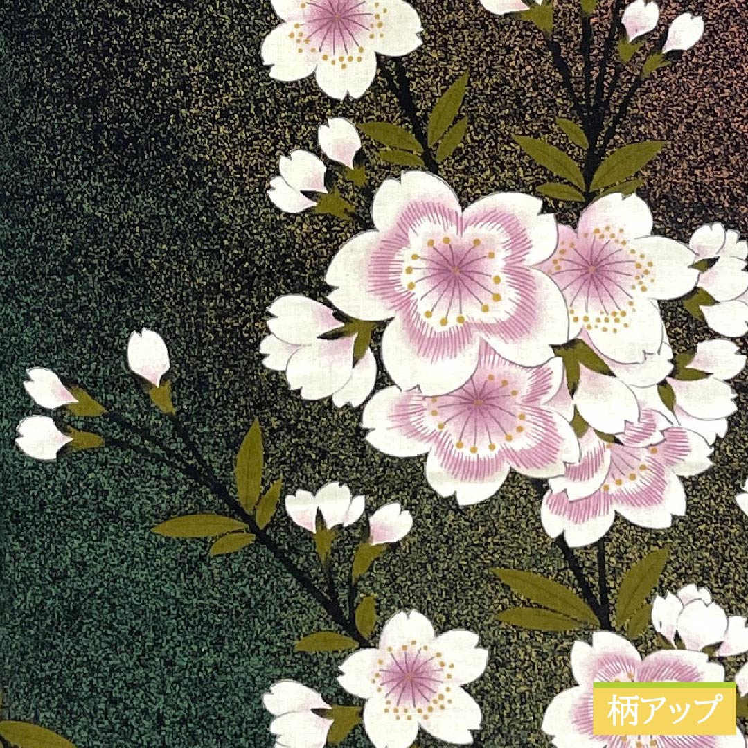 浴衣 木綿 身丈162cm 裄丈68cm Bランク 単衣 グラデーション系 萌葱色（もえぎいろ） 長春色（ちょうしゅんいろ） 桜 1118005984499