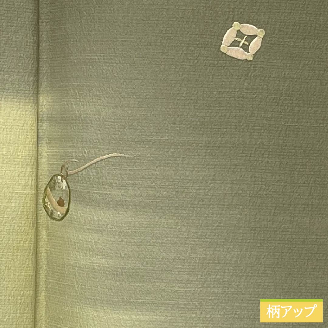 Visiting Kimono, Pure Silk, S Rank, Lined, Length 159.5cm, Sleeve Length 62.5cm, Negishi Color (Negishi-iro), Tsukesage, Fukiyose Pattern, Green Embroidery, Product Number: 1112007092319