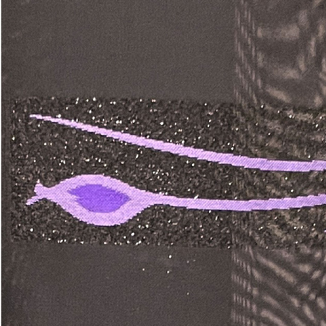 Summer pure silk tsumugi length 155cm sleeve length 62.5cm abstract pattern gauze rank S black 1132000932310