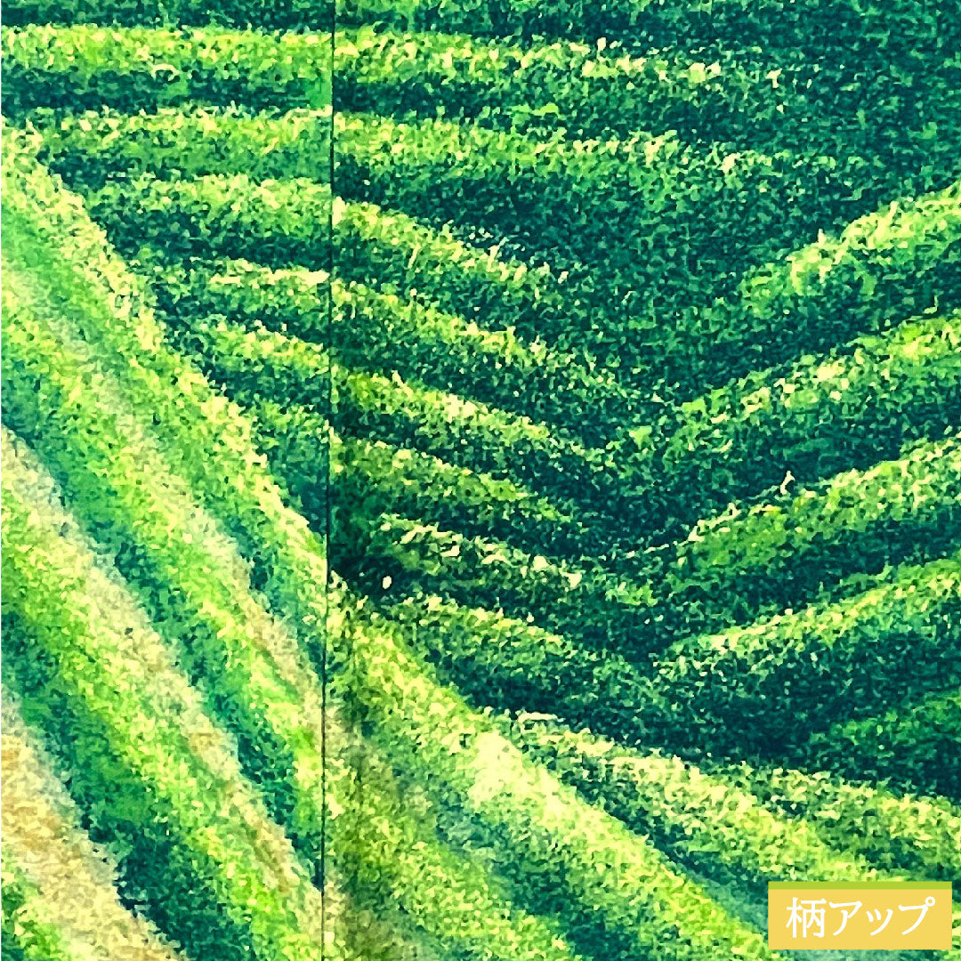 Haori (Japanese traditional coat) made of pure silk, length 83.5cm, sleeve length 67cm, iridescent color, wax-resist dyeing, abstract pattern, with basting thread, S rank, lined, green, 1117001042919