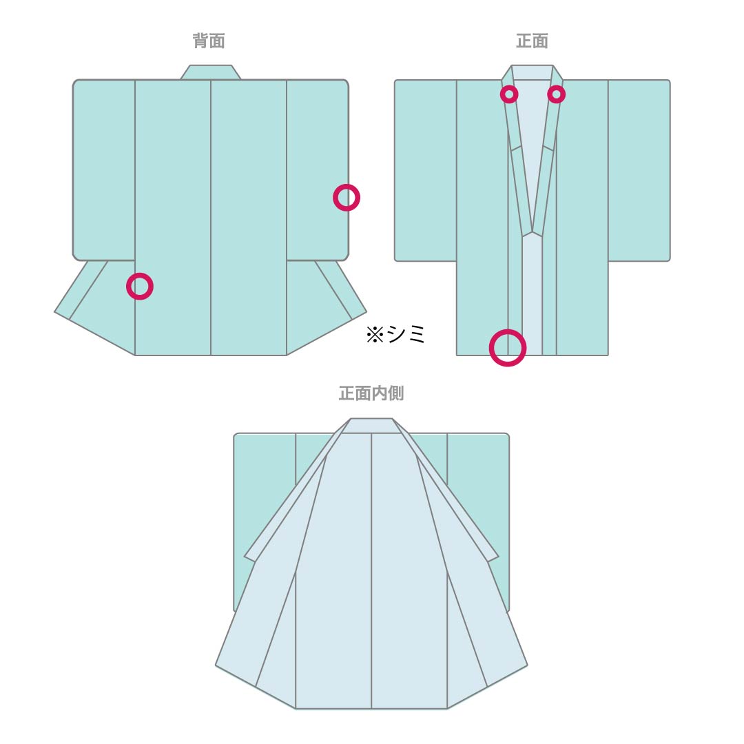 Summer linen tsumugi (pongee) kimono, length 165cm, sleeve length 69cm, milky white (nyuhakushoku) Ojiya-chijimi (Ojiya-style silk) with floral and gauze patterns, rank A, white, product number 1132002683511