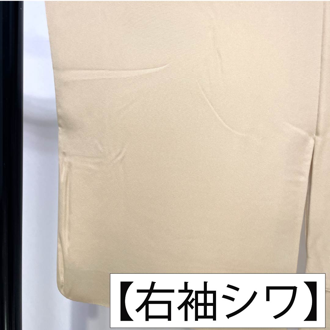 色留袖 正絹 Sランク 身丈167cm 裄丈68cm 袷 東京白茶色（とうきょうしらちゃいろ） 京友禅 松 屏風 一つ紋 丸に三つ柏 パールトーン加工 一つ紋 クリーム系 1111002182515