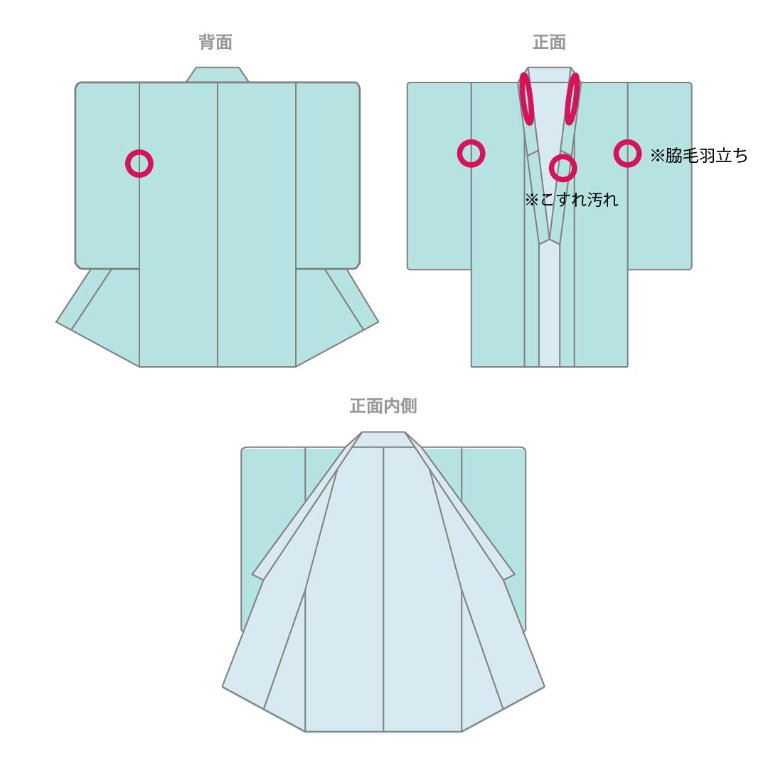夏物 ポリエステル 小紋 身丈158cm 裄丈63cm 紫烏色（しうしょく） 露芝 草花 洗える着物 絽 Bランク 紫系 1132002044320