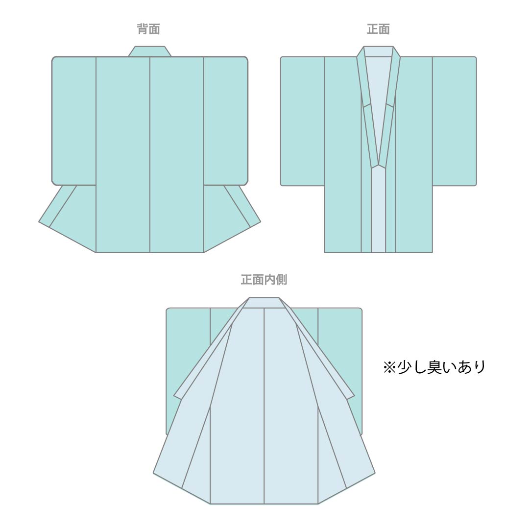 夏物 ポリエステル 色無地 Aランク 身丈156cm 裄丈66cm 枯野色（かれのいろ） 羽田登喜男監修 一つ紋 丸に花菱 絽 ベージュ系 1132006883325
