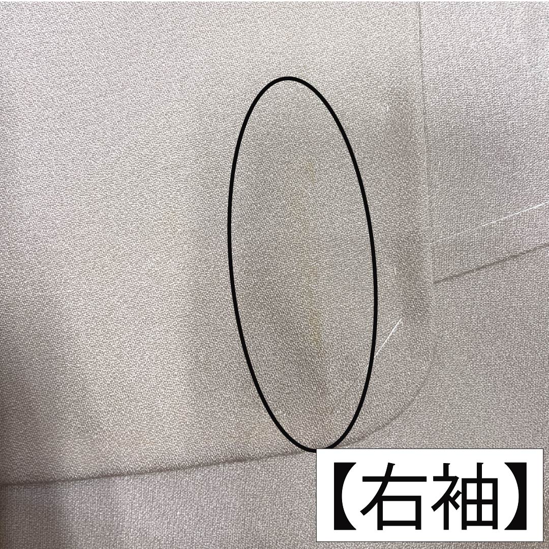色留袖 正絹 Aランク 身丈158cm 裄丈65cm 袷 翁茶色（おきなちゃいろ） 手描き友禅 紅梅白梅 一つ紋 丸に梅鉢 作家物 一つ紋 ピンク系 1111002153313
