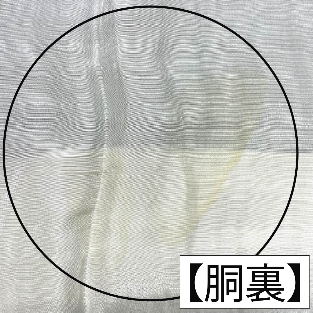 色無地 正絹 Aランク 身丈171.5cm 裄丈67.5cm 蒼黒色（そうこくいろ） ちりめん地 素無地 袷 緑系 1114003033619