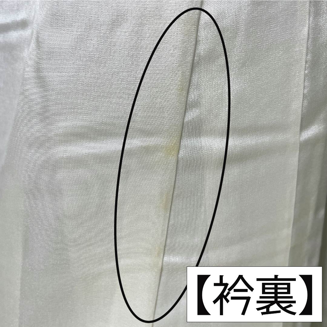 色無地 正絹 Aランク 身丈166.5cm 裄丈66cm 浅藍色（あさきあいいろ） ちりめん地 素無地 一つ紋 袷 緑系 1114003093519