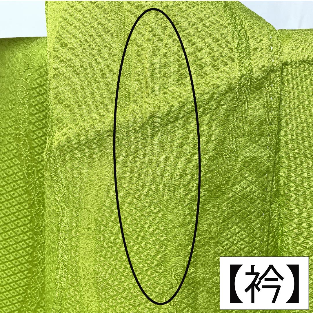 色無地 正絹 Aランク 身丈156cm 裄丈63cm 黄浅緑色（きあさみどりいろ） 一つ紋 揚羽蝶 立涌 袷 緑系 1114002773319