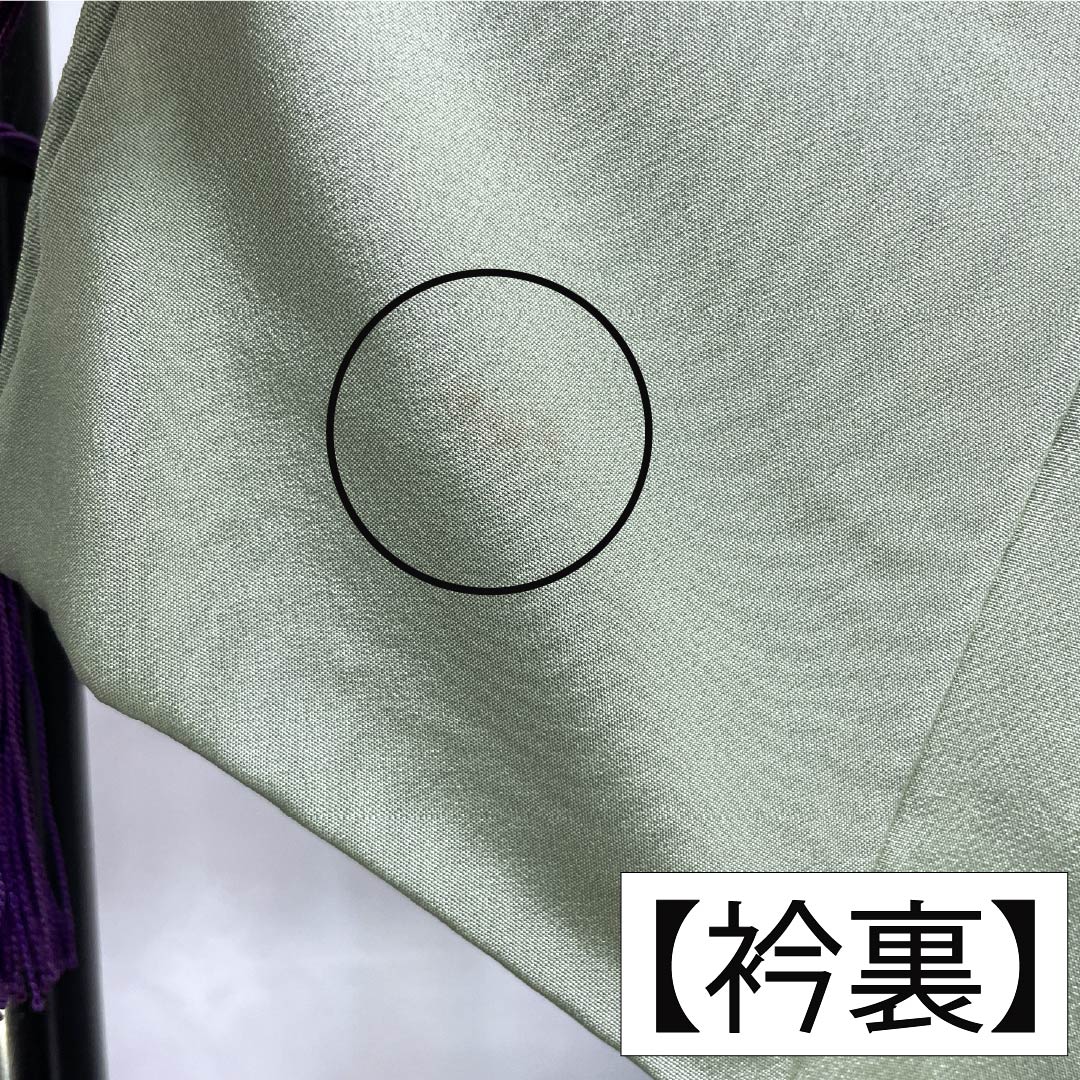 色無地 正絹 Sランク 身丈156cm 裄丈64cm 裏葉色（うらはいろ） 丹後ちりめん 素無地 一つ紋 袷 緑系 1114002972319