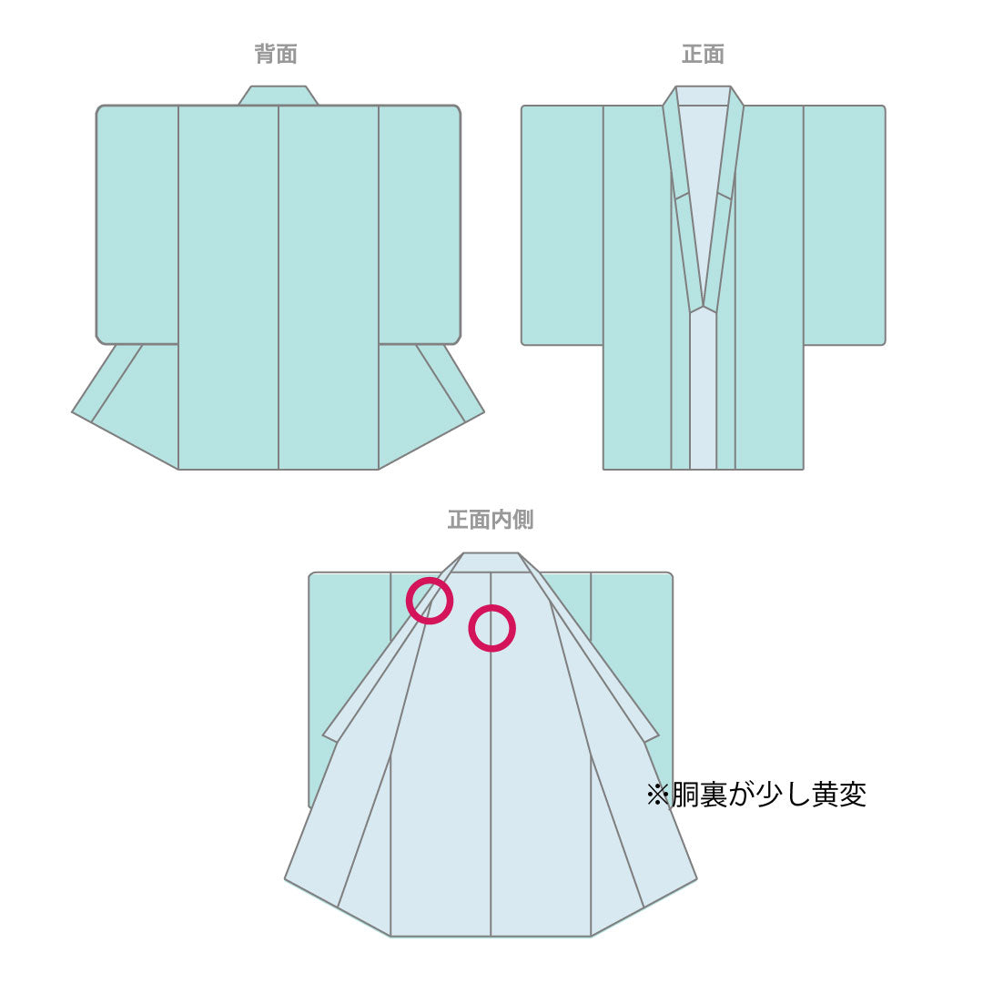 色無地 寿光織 時代人物風景模様 剣片喰  身丈164cm 裄丈66cm 袷  正絹 Sランク 緑系 1114000292319