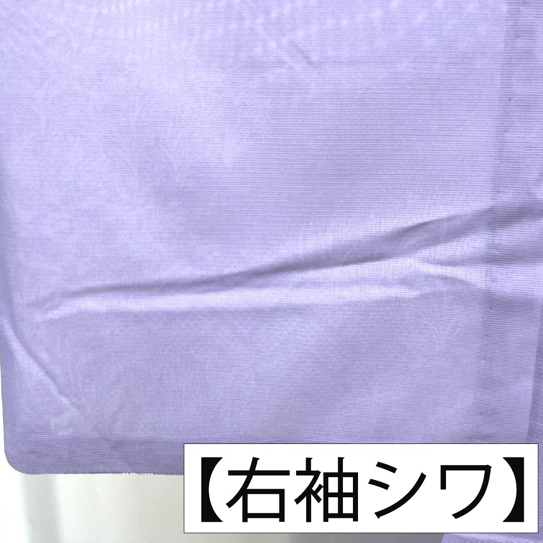 夏物 ポリエステル 付下げ Aランク 身丈161cm 裄丈64cm 薄藤色（うすふじいろ） 洗える着物 古典柄  絽 紫系 1132006073420