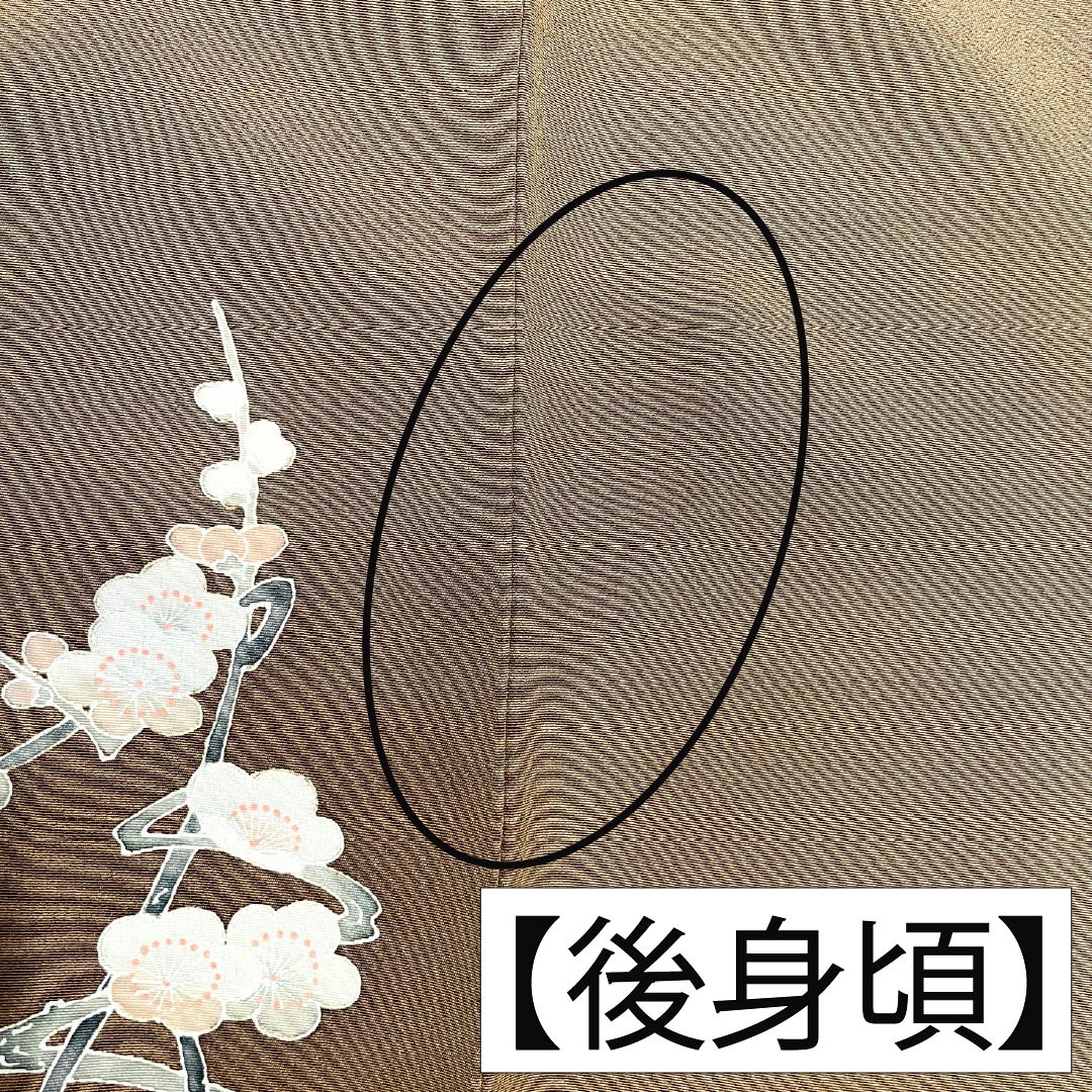 色留袖 正絹 Bランク 身丈158cm 裄丈66cm 袷 光悦茶色（こうえつちゃいろ） 京友禅 童 松竹梅 三つ紋 揚羽蝶 比翼付き 三つ紋 茶系 1111002174314
