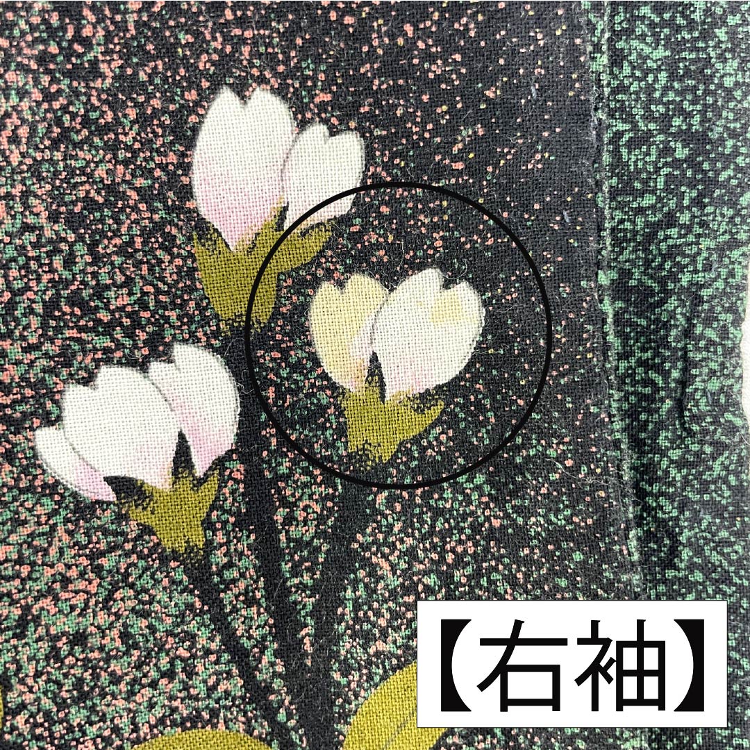 浴衣 木綿 身丈162cm 裄丈68cm Bランク 単衣 グラデーション系 萌葱色（もえぎいろ） 長春色（ちょうしゅんいろ） 桜 1118005984499