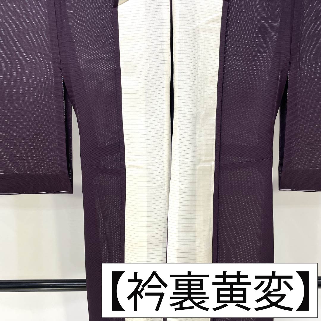 夏物 正絹 付下げ Sランク 身丈158cm 裄丈66cm 紫烏色（しうしょく） 燕 絽 紫系 1132007212320