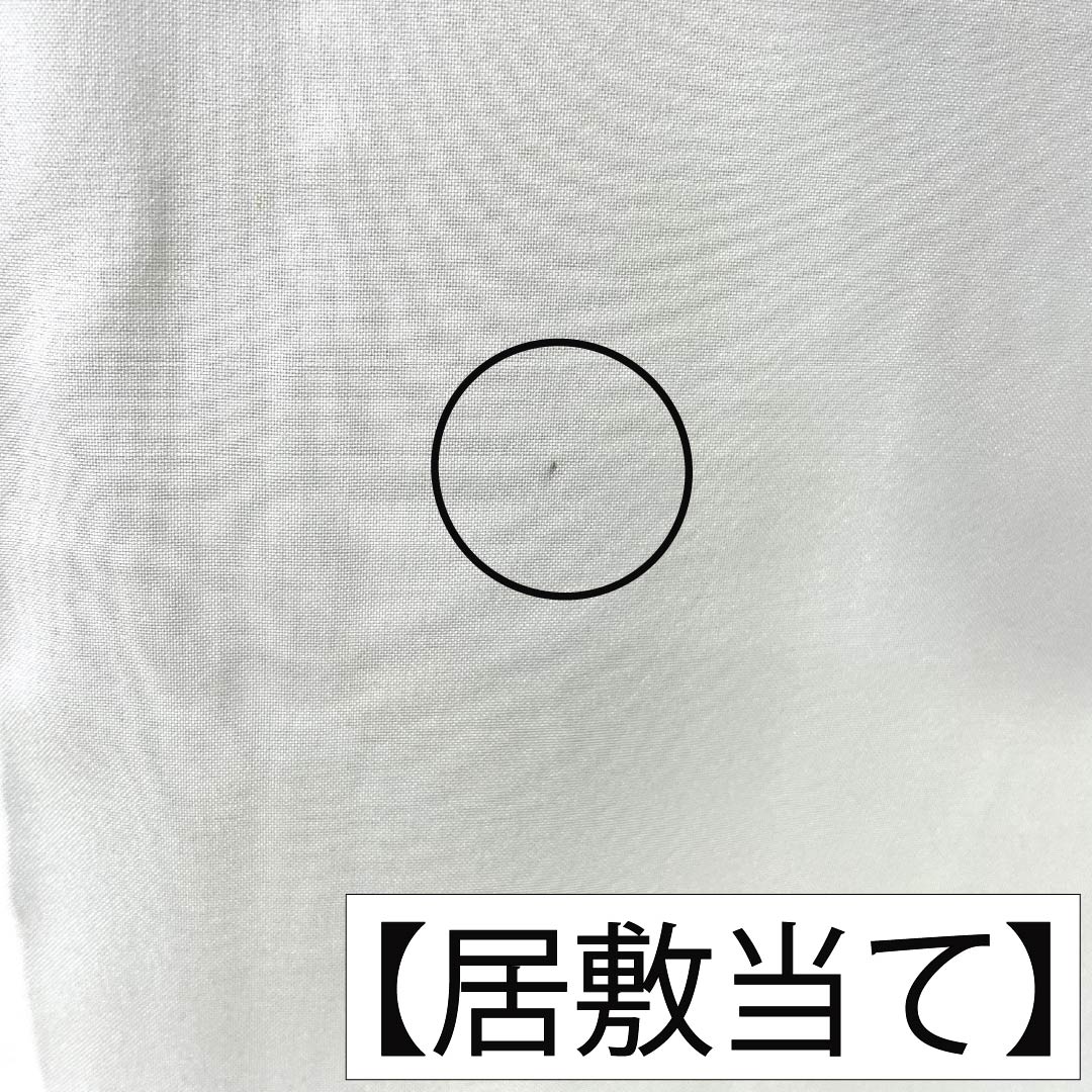 夏物 正絹 色無地 Aランク 身丈166cm 裄丈67cm 裏柳色（うらやなぎいろ） 素無地 居敷当て付き 絽 緑系 1132005683519