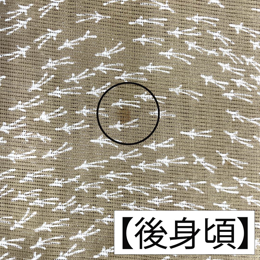 夏物 ポリエステル 小紋 Aランク 身丈151.5cm 裄丈61.5cm 芽色（かやいろ） 松葉 洗える着物 絽 ベージュ系 1132005403225