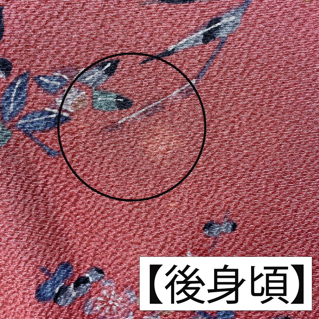小紋 正絹 Aランク 身丈162cm 裄丈64cm 袷 祭紅色（さいこういろ） 茶屋辻 松竹梅 型染 赤系 1115006883412