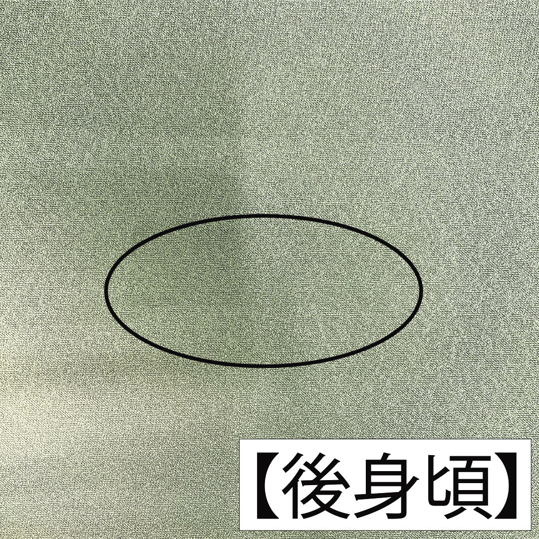 訪問着 正絹 袷 身丈162.5cm 裄丈65cm 裏葉色（うらはいろ） 風景模様 Aランク 緑系 1112005853419