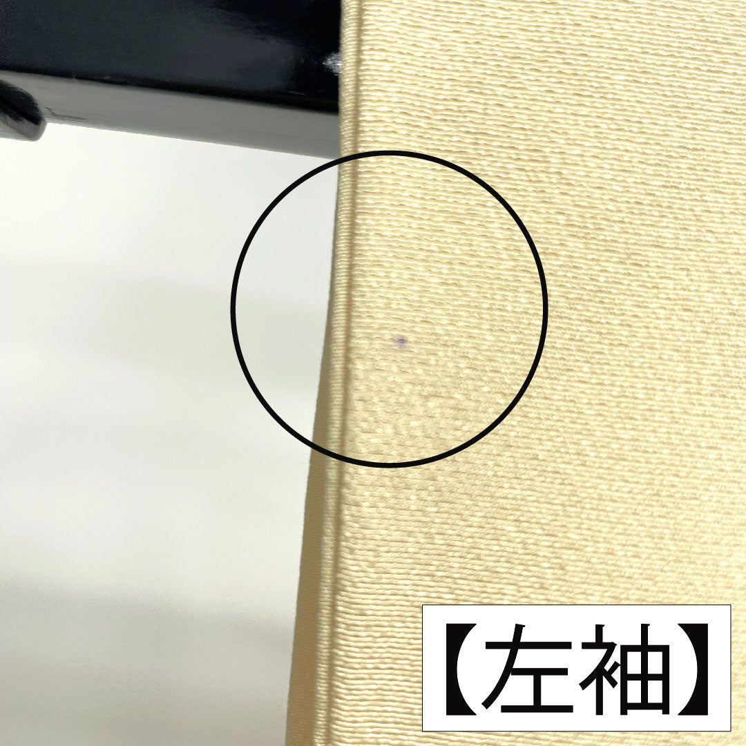 Homongi, pure silk, lined, length 156cm, sleeve length 61.5cm, light egg color, Kyo-Yuzen, A rank, cream color, 1112004563315