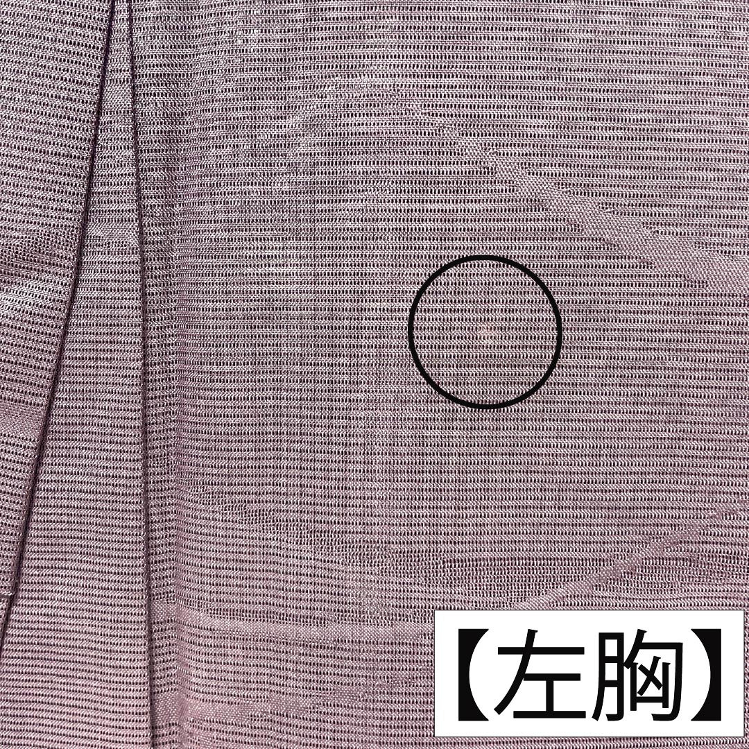 夏物 ポリエステル 色無地 Sランク 身丈159.5cm 裄丈64cm 錆臙脂色（さびえんじいろ） 洗える着物 露草 絽 紫系 1132005692320