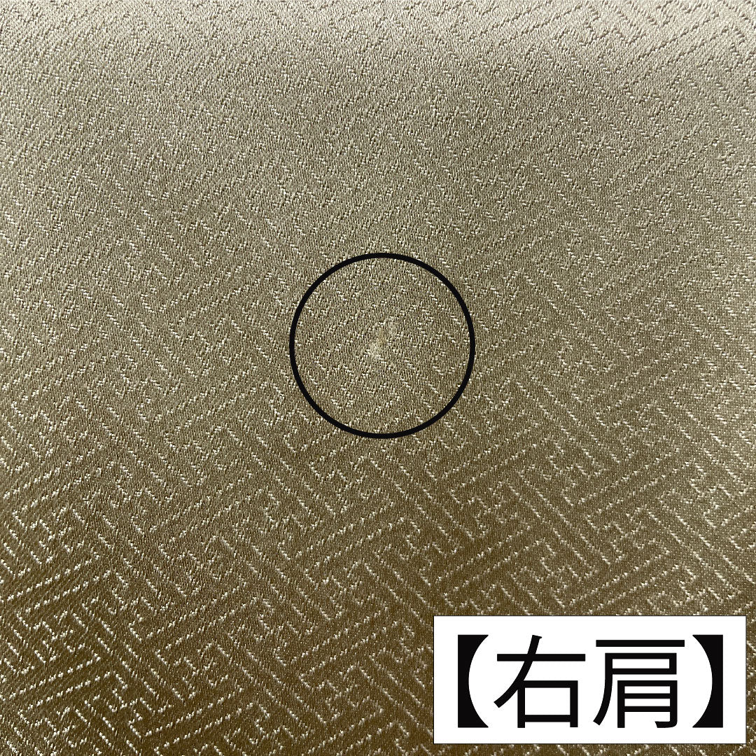 訪問着 正絹 袷 身丈163cm 裄丈68cm 亜麻色（あまいろ） 京友禅 草花模様 Aランク 緑系 1112005963419