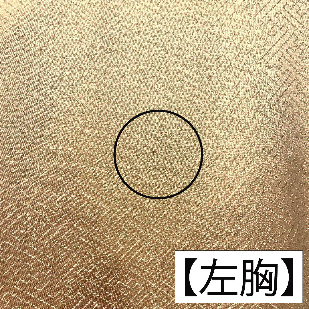 Homongi, pure silk, lined, length 165.5cm, sleeve length 66.5cm, vermilion, Kyoto Yuzen, auspicious motif, A rank, orange, 1112004623526