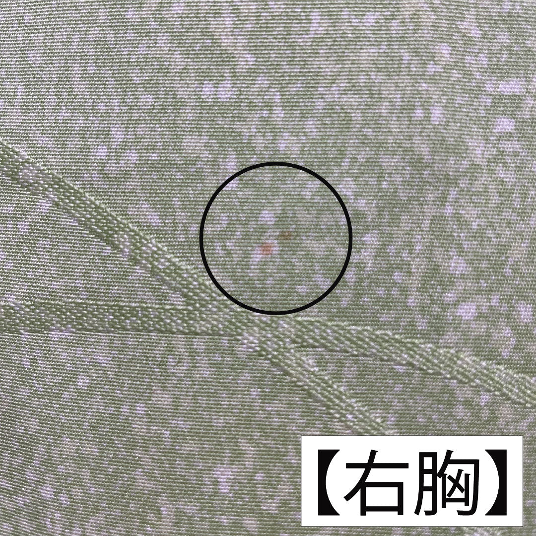 訪問着 正絹 袷 身丈158.5cm 裄丈62.5cm 黄緑色（きみどりいろ） 草花模様 濡れ描き友禅 Aランク 緑系 1112005763319