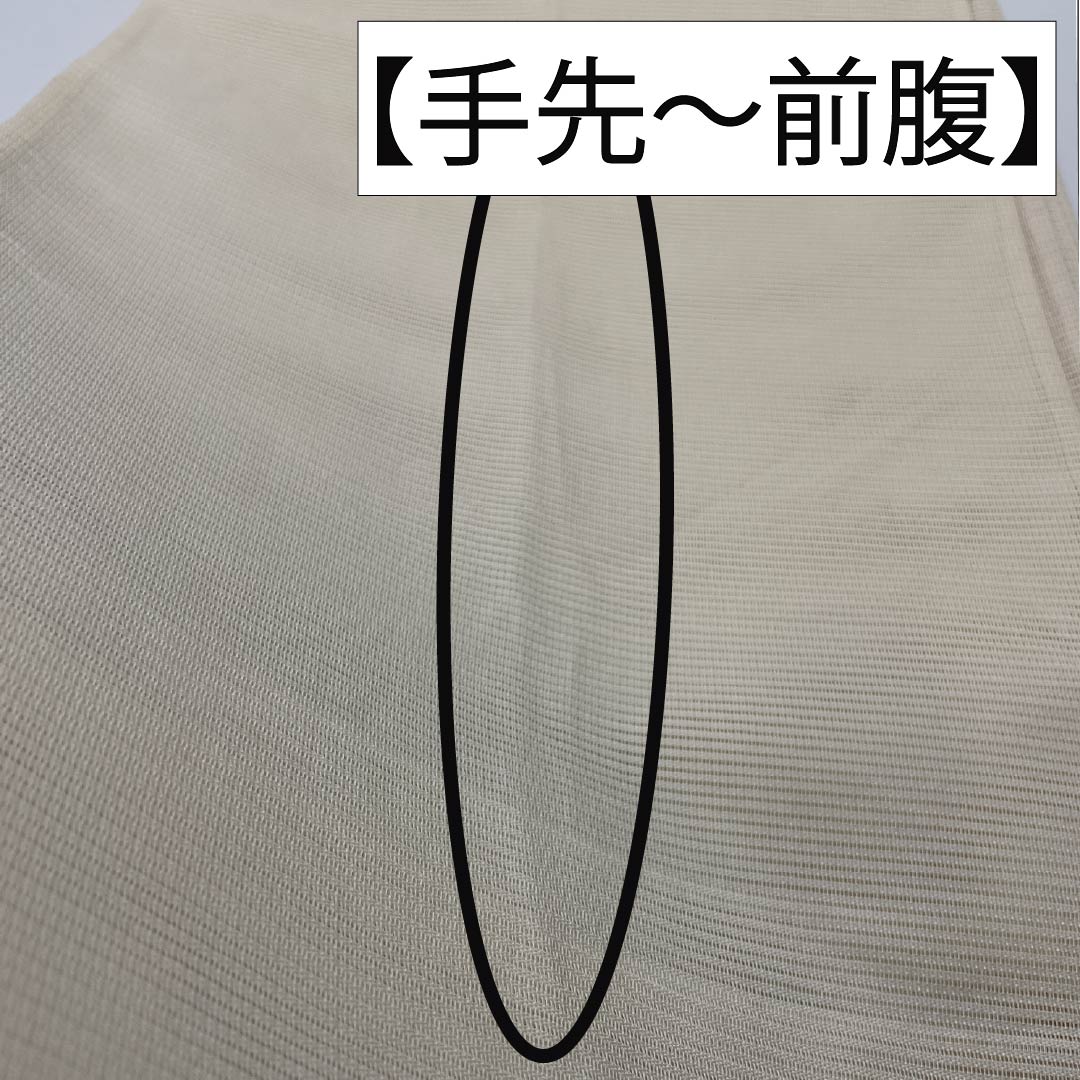 袋帯 正絹 沙羅双樹 夏帯 作家物 蘇州刺繡 帯丈422cm Sランク ポイント柄 セミフォーマル クリーム系 1123014642315