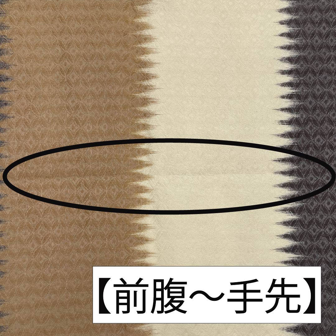 Fukuro Obi, Pure Silk, Pine Dyeing (Matsuzo Meiro), Flower, Classic Pattern, Kano Yuki, Pine, Obi Length 451cm, S Rank, Six Passes, Formal, Beige, 1123011342425